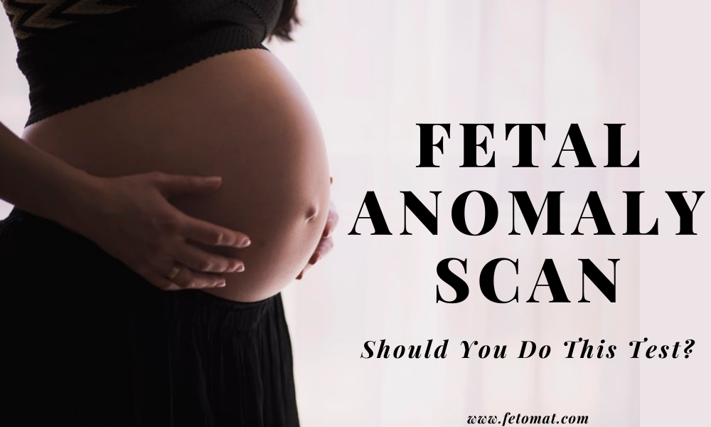 Fetal Anomaly Scan Should You Do This Test Fetomat Wellness