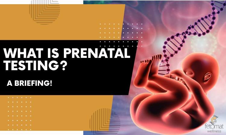 What Is Prenatal Testing? : A Briefing!