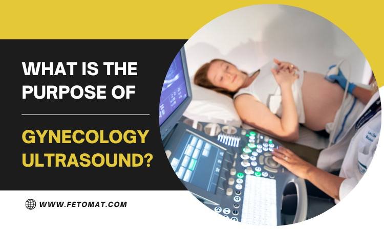 What Is The Purpose Of Gynecology Ultrasound?