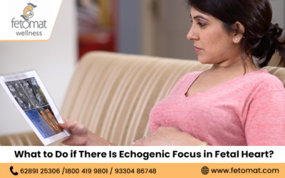 What to Do if There Is Echogenic Focus in Fetal Heart?