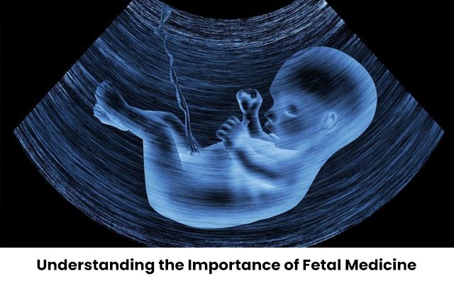  Understanding the Importance of Fetal Medicine